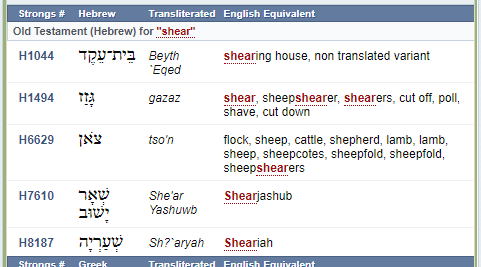 Strongs # Hebrew 
Old Testament (Hebrew) for "sh?ar• 
H1044 
H1494 
H662g 
H7610 
H8187 
Beyth 
'Eqed 
gaze z 
She 'ar 
Yashuwb 
Sh?'eryah 
English Equivalent 
shearing house, non translated variant 
shear, sheepshearer, shearers, cut off, poll, 
shave, cut down 
flock, sheep, cattle, shepherd, lamb, lamb, 
sheep, sheepcotes, sheepfold, sheepfold, 
sheepshearers 
Shearjashub 
Sheariah 